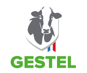 Gestel